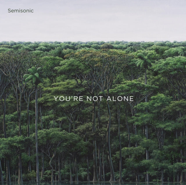 Semisonic - Youre Not Alone (Vinyl Single)