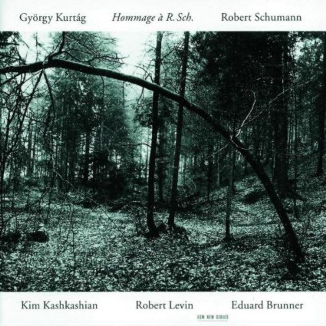 Kashkashian/Levin/Brunner - Schumann/Hommage (CD)