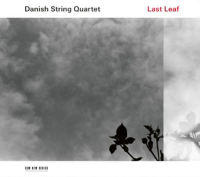 Danish String Quartet - Lost Leaf (CD)