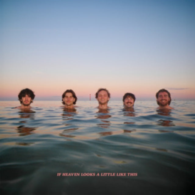 Delights - If Heaven Looks A Little Like This (Orange Vinyl) (Vinyl)