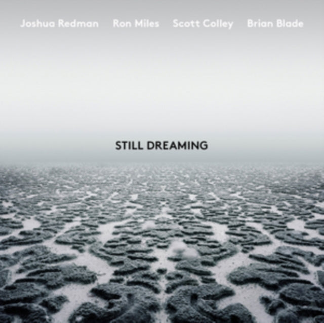 Joshua Redman - Still Dreaming (Feat. Ron Miles & Scott Colley & Brian Blade) (CD)