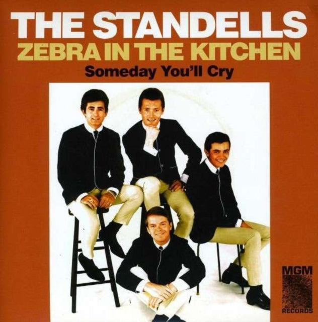 Standells - Zebra In The Kitchen / Someday Youll Cry (Vinyl Single)