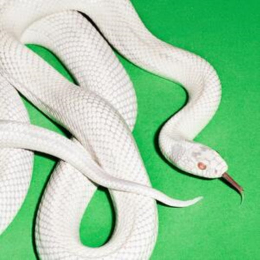 Deftones - Private Music (CD)