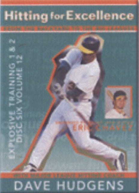 Hitting For Excellence 6 (DVD)