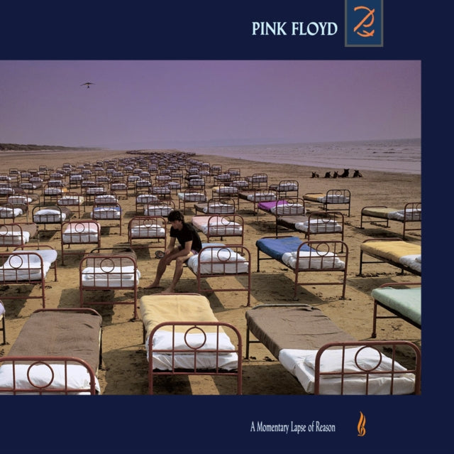 Pink Floyd - A Momentary Lapse Of Reason (Vinyl)