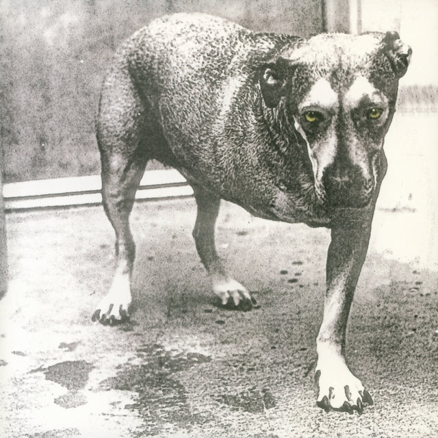 Alice In Chains - Alice In Chains (Yellow Vinyl) (Vinyl)