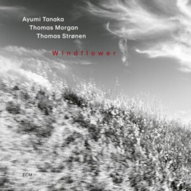 Ayumi Tanaka / Thomas Morgan / Thomas Stronen - Ayumi Tanaka: Windflower (CD)