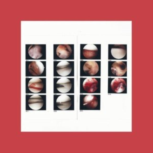 Cradle - Laughing In My Sleep (12 inch Single)