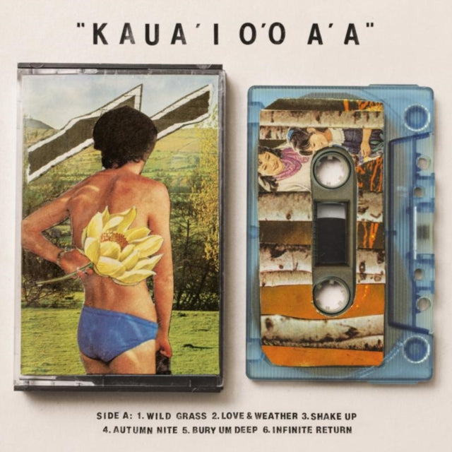 Gentle Friendly - KauaI OO AA (Vinyl)
