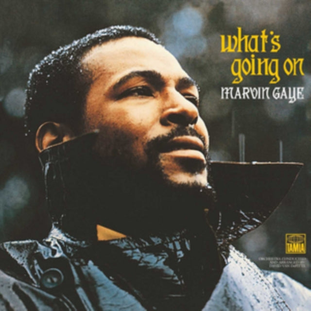 Marvin Gaye - Whats Going On (Island Records) (Vinyl)