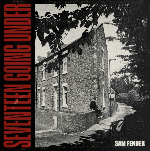 Sam Fender - Seventeen Going Under (Vinyl)