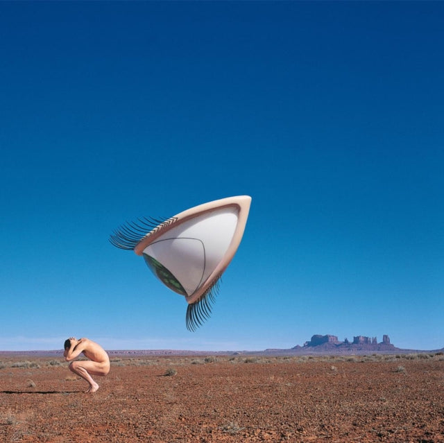 Cranberries - Bury The Hatchet (The Complete Sessions) (Vinyl)