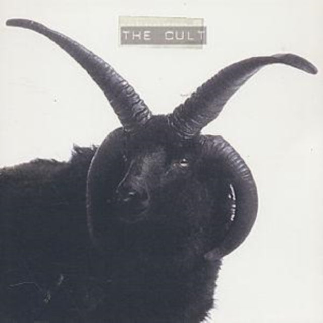 Cult - Cult (CD)