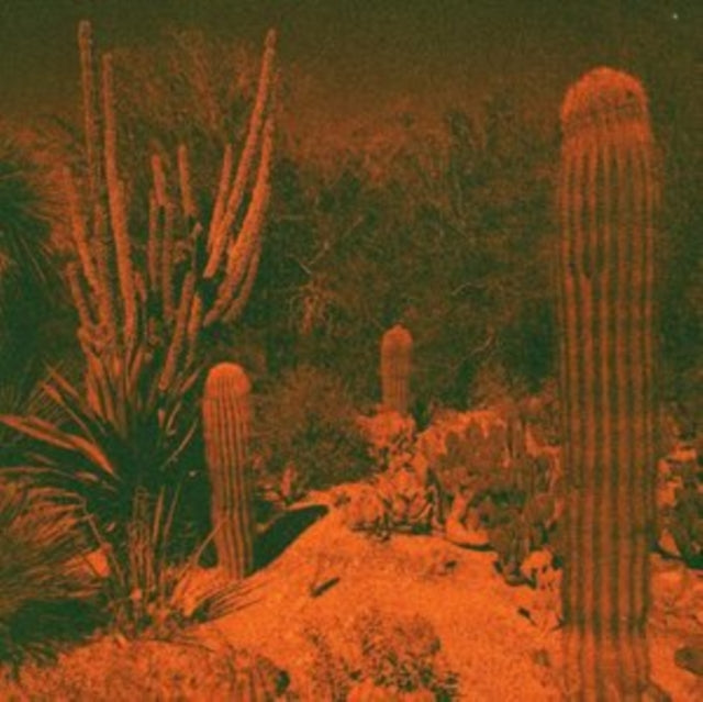 Cameron Knowler & Eli Winter - Anticipation (CD)