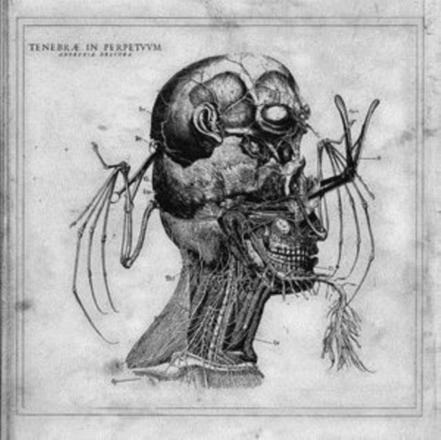Tenebrae In Perpetuum - Anorexia Obscura (CD)