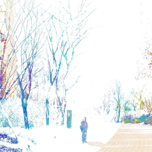 Parannoul - After The Magic (Blossom Vinyl) (Vinyl)