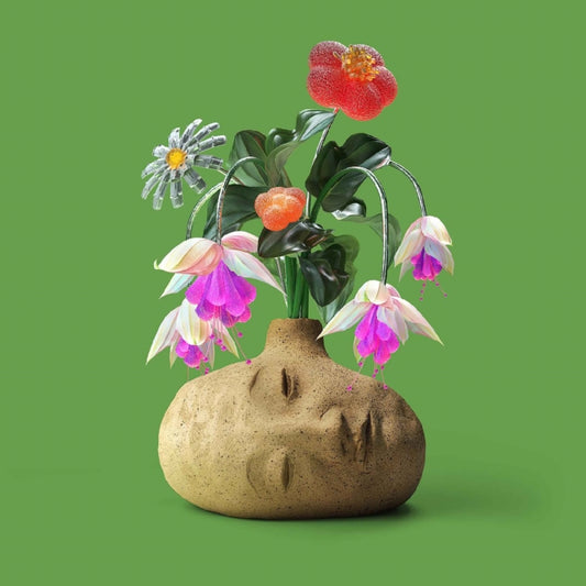 Elephant Gym - Dreams (Flower Petal Fuschia Vinyl) (Vinyl)