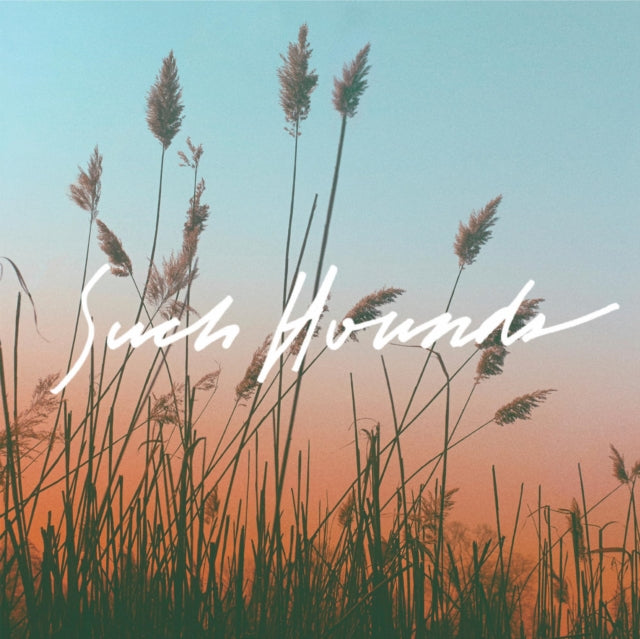 Such Hounds - I Hate Summer (Vinyl)