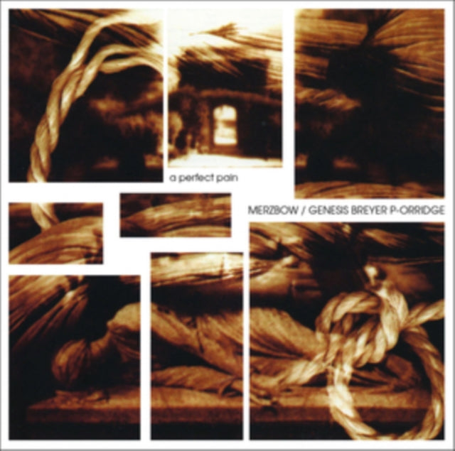 Merzbow / Genesis Breyer P-Orridge - A Perfect Pain (CD)