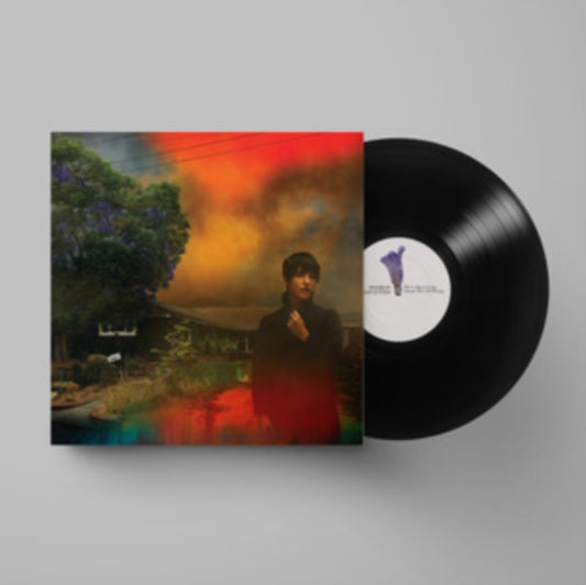 Sharon Van Etten - Weve Been Going About This All Wrong (Vinyl)