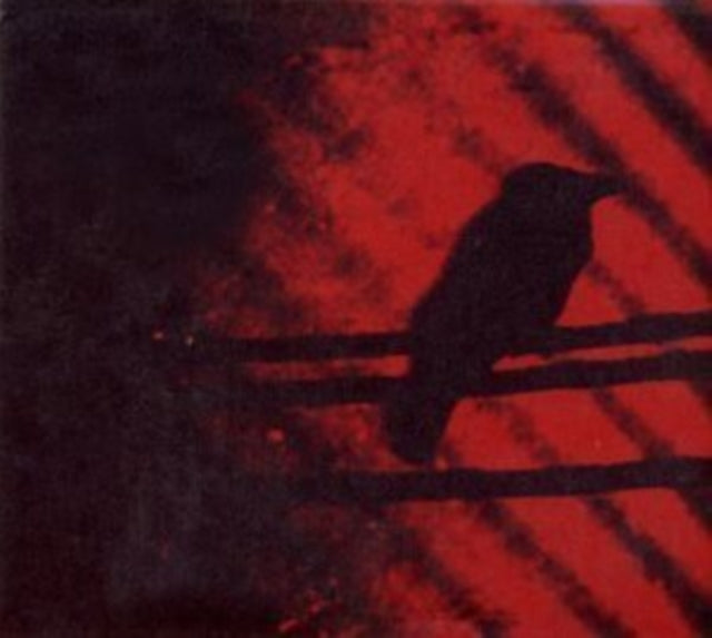 A Silver Mt Zion - Born Into Trouble (Vinyl)