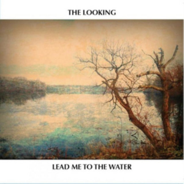 Looking - Lead Me To The Water (CD)