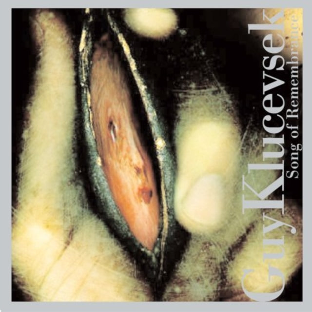Guy Klucevsek / Dora Orenstein / Theo Blackmann / Steve Elson / Nurit Tilles - Klucevek: Song Of Remembrance (CD)