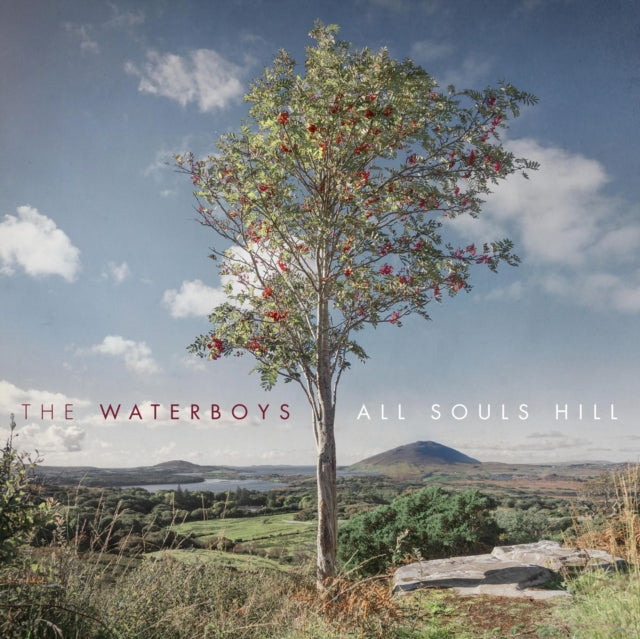 Waterboys - All Souls Hill (Vinyl)