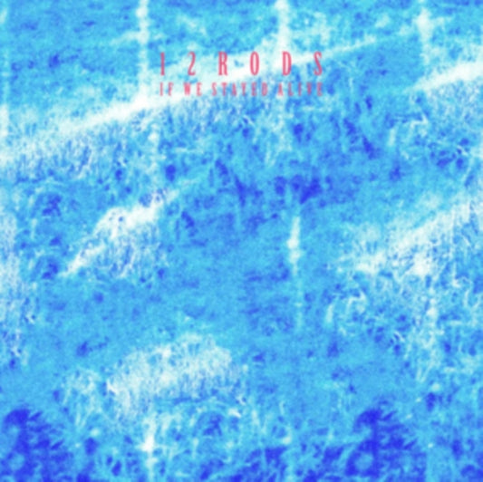 12 Rods - If We Stayed Alive (Indie Exclusive. Random Hand-Pour Swirl Vinyl) (Vinyl)