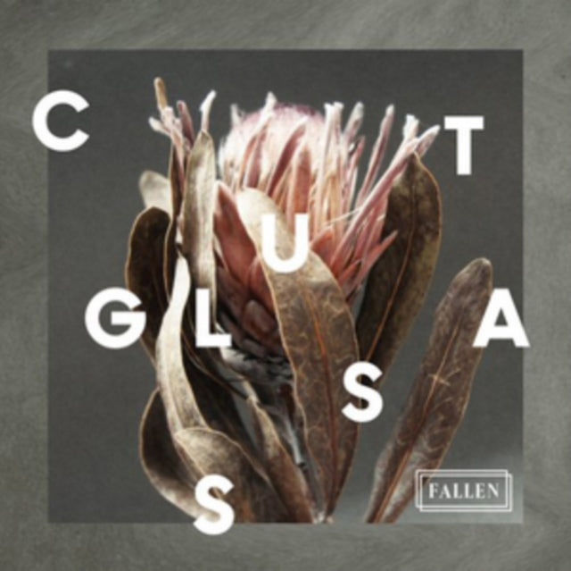 Cut Glass - Fallen (CD)