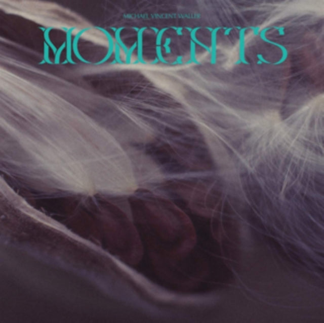 Michael Vincent Walker - Moments (CD)