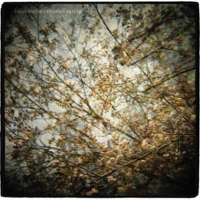 Horse Feathers - Thistled Spring (Vinyl)