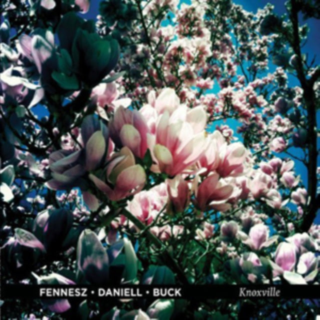 Fennesz / Daniell / Buck - Knoxville LP (Vinyl)