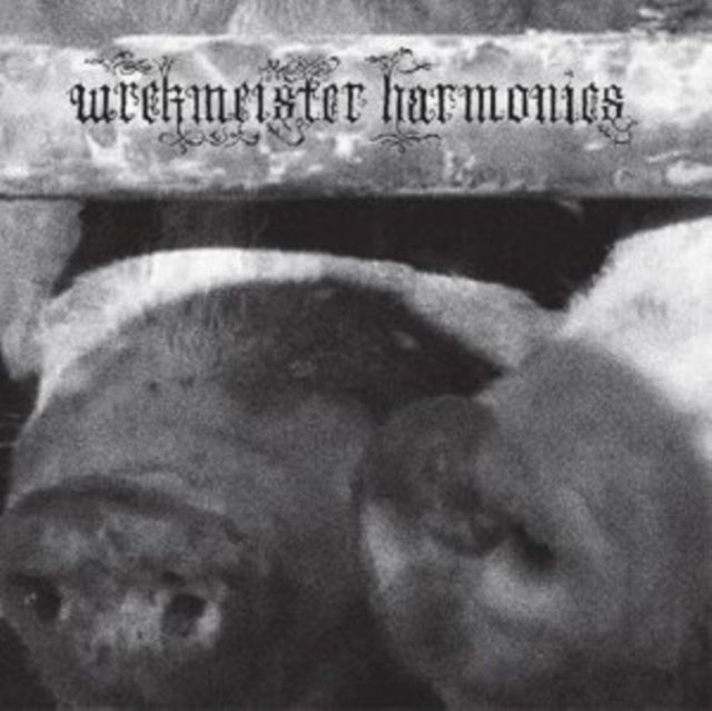 Wrekmeister Harmonies - Flowers In The Spring (Vinyl)