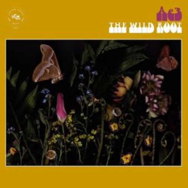 Ae3 (Alan Evans Trio) - The Wild Root (CD)