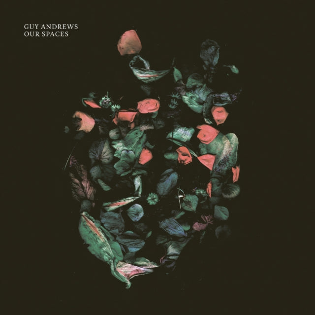 Guy Andrews - Our Spaces (Vinyl)