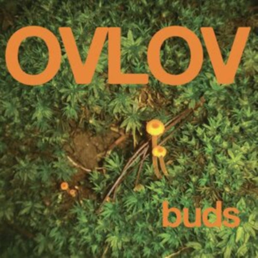 Ovlov - Buds (Orange Vinyl) (Indie Exclusive) (Vinyl)