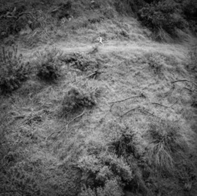 Anna Tivel - Animal Poem (Vinyl)