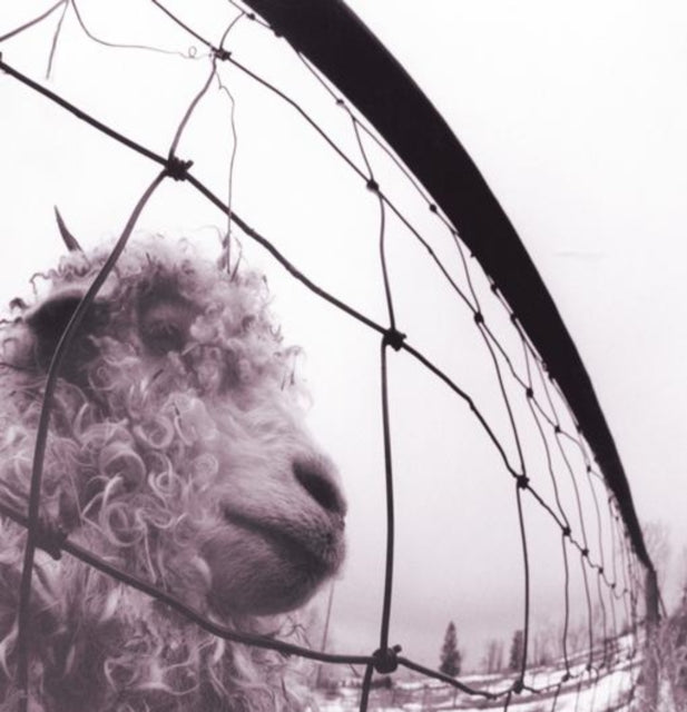 Pearl Jam - Vs (Vinyl)