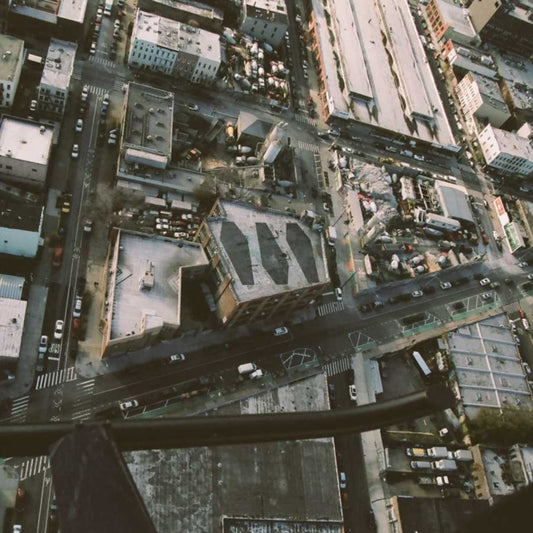 Show Me The Body - Dog Whistle (Vinyl)