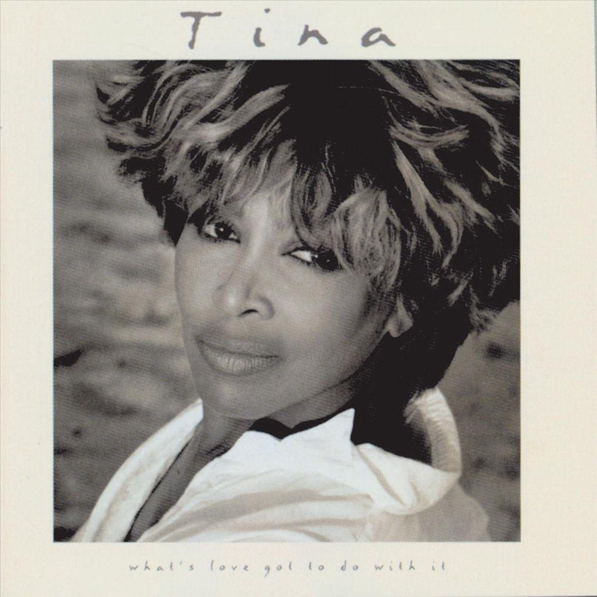 Tina Turner - Whats Love Got To Do With It (CD)