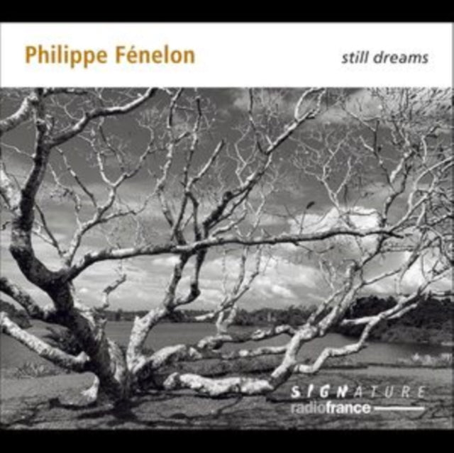Quatuor Diotima / Florent Jodelet / Didier Benetti / Emmanuel Curt / Gilles Ranticelli / Maryvonne Le Dizes / Joelle Leandre / Florent Boffard / Sylvie Beltrando - Philippe Fenelon: Still Dreams (CD)