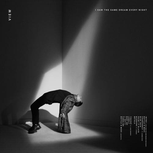 View - I Saw The Same Dream Every Night (Vinyl)