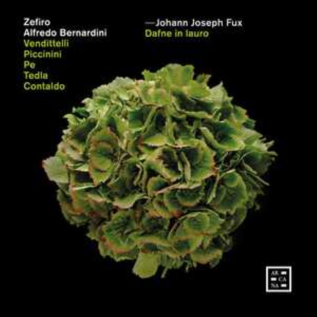 Zefiro / Alfredo Bernardini - Fux: Dafne In Lauro (CD)