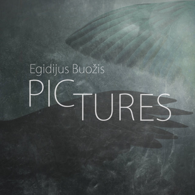 Egidijus Buozis - Pictures (CD)