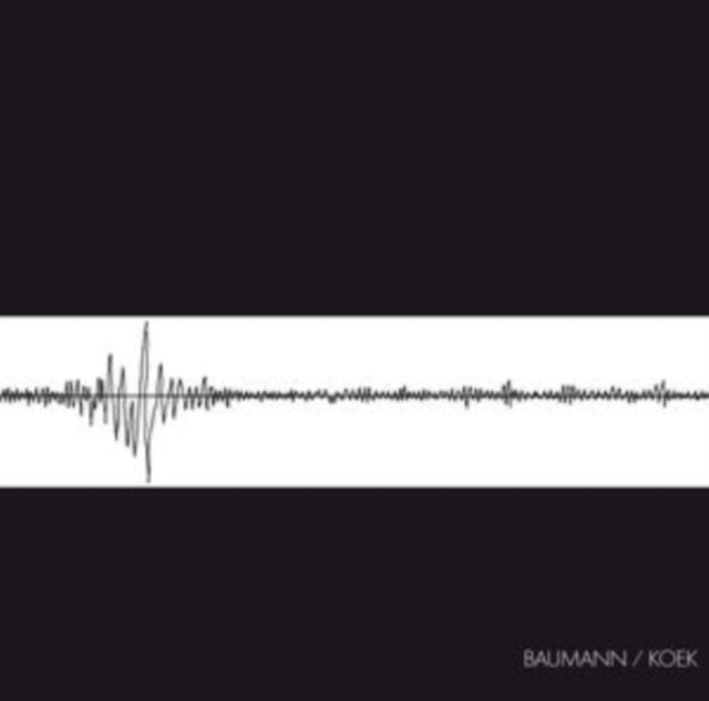 Baumann / Koek - Baumann / Koek (Vinyl)