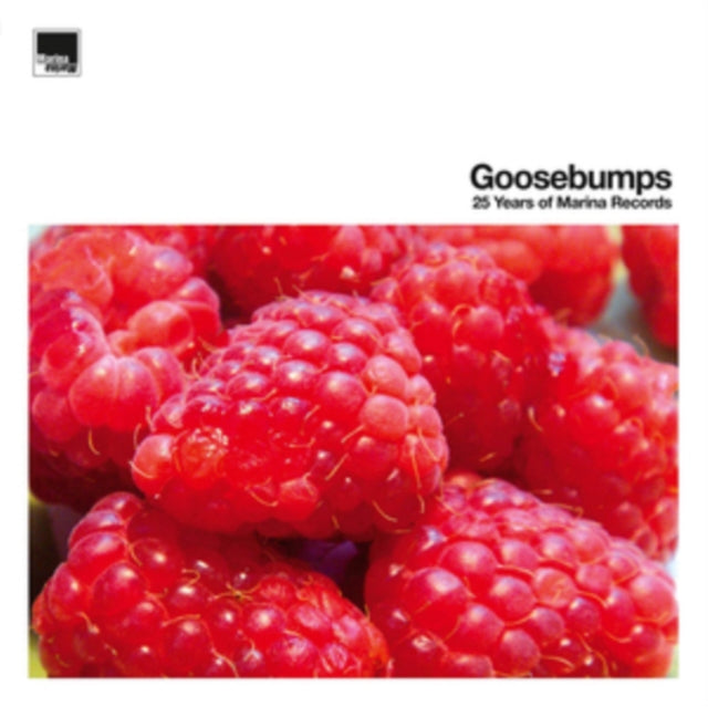Various Artists - Goosebumps 25 Years Of (Vinyl)