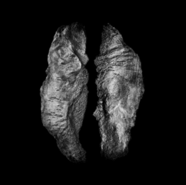 Saffronkeira & Mario Massa - Cause And Effect (CD)
