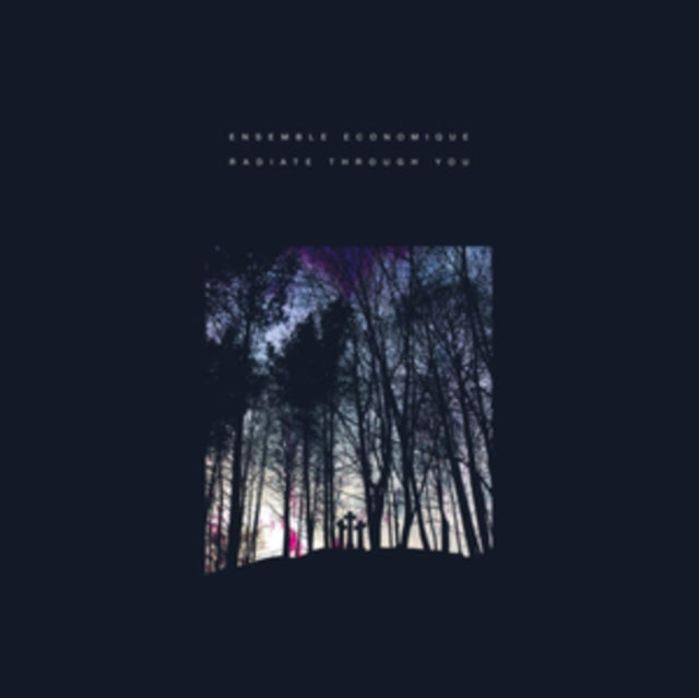 Ensemble Economique - Radiate Through You (CD)