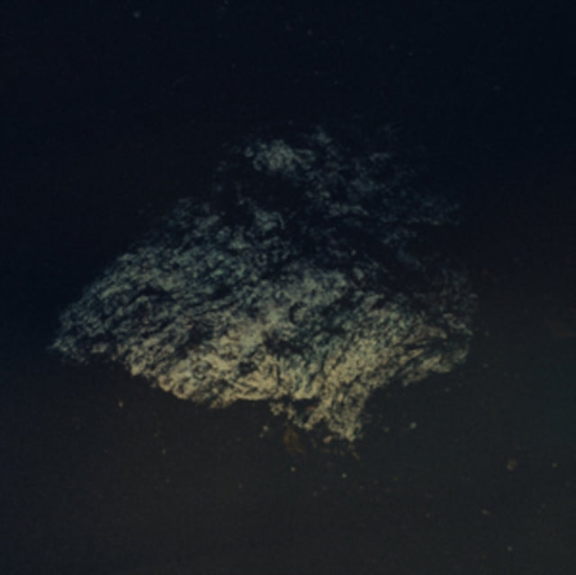 Multicast Dynamics - Lost World (Vinyl)